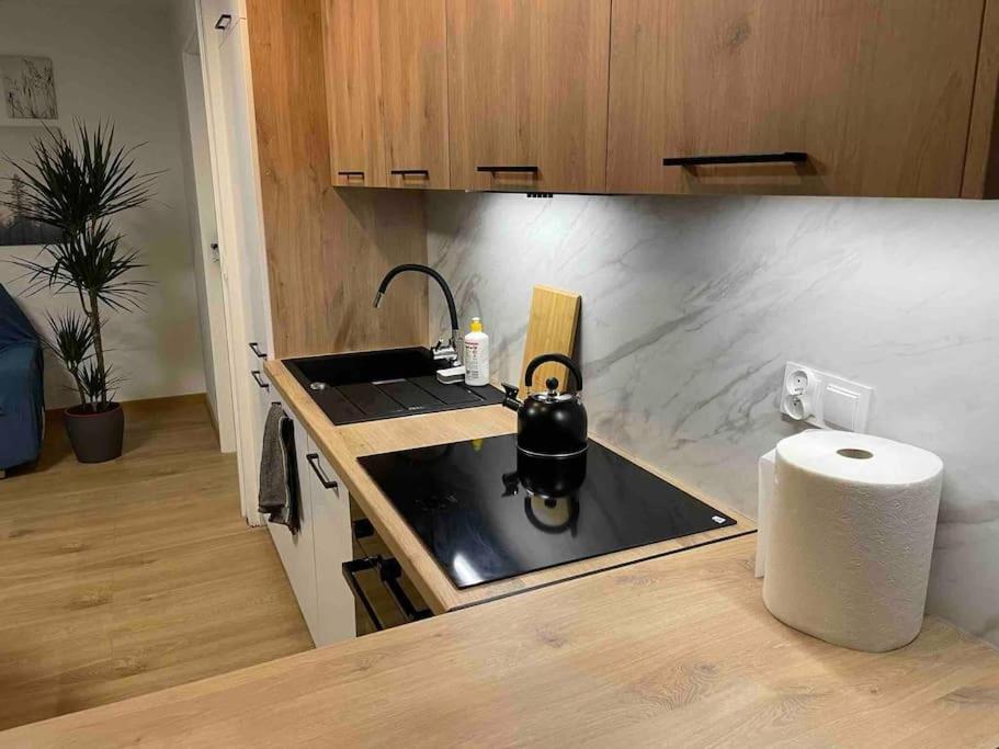 Lucky Seven Cosy 1-Bedroom Apartment, Free Parking كراكوفيا المظهر الخارجي الصورة